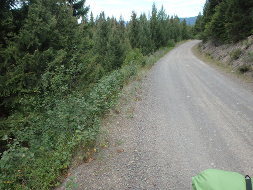 GDMBR: Our backtrail as we ride through the wet lands.